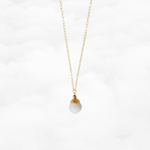 Realm of Peace Long Tridacna Necklace